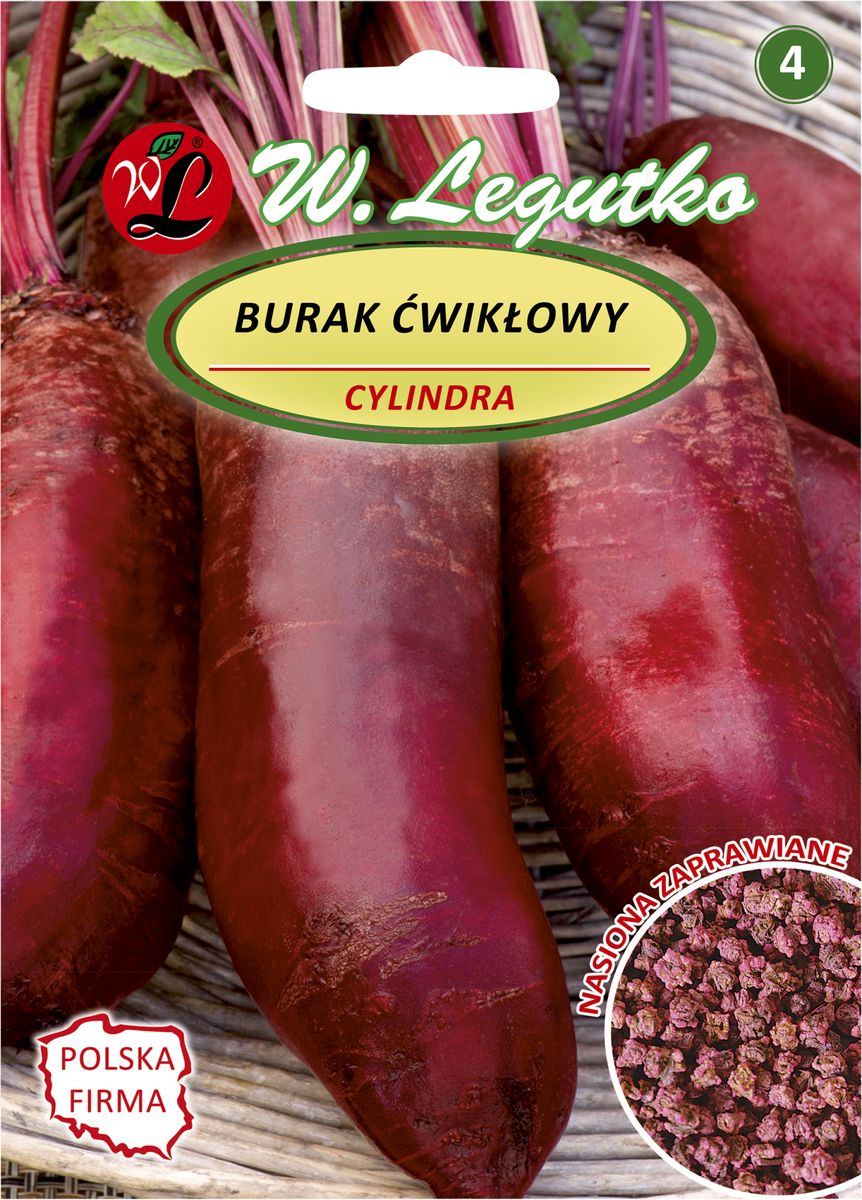Burak ćwikłowy Cylindra nasiona zaprawiane 15g W. Legutko