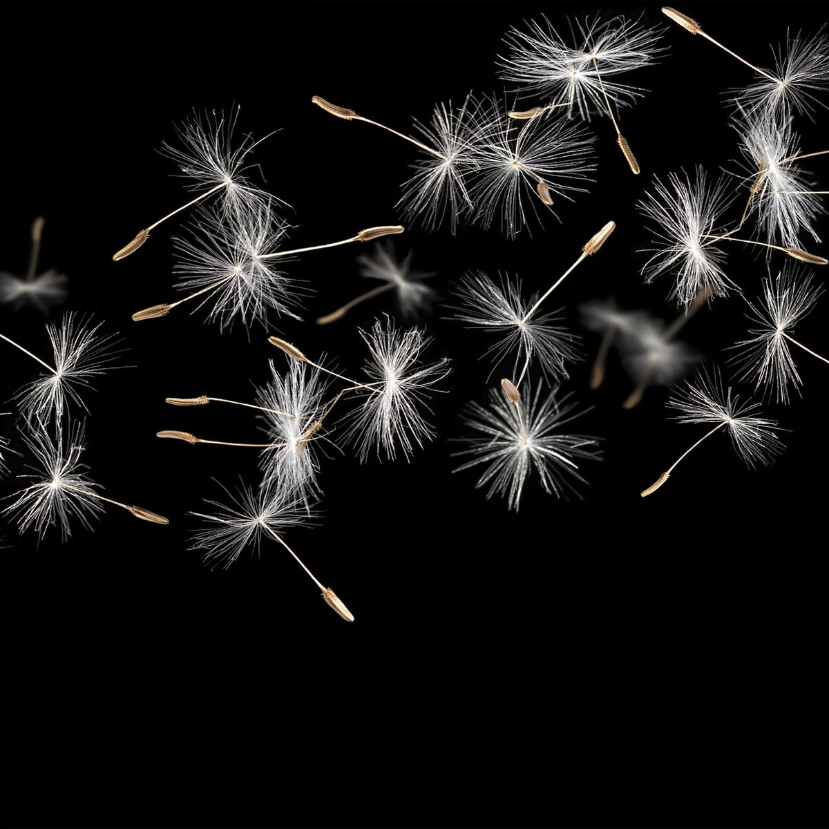 Alfa-Cer Panel kuchenny szklany Urbanvege19B 60 x 60 cm