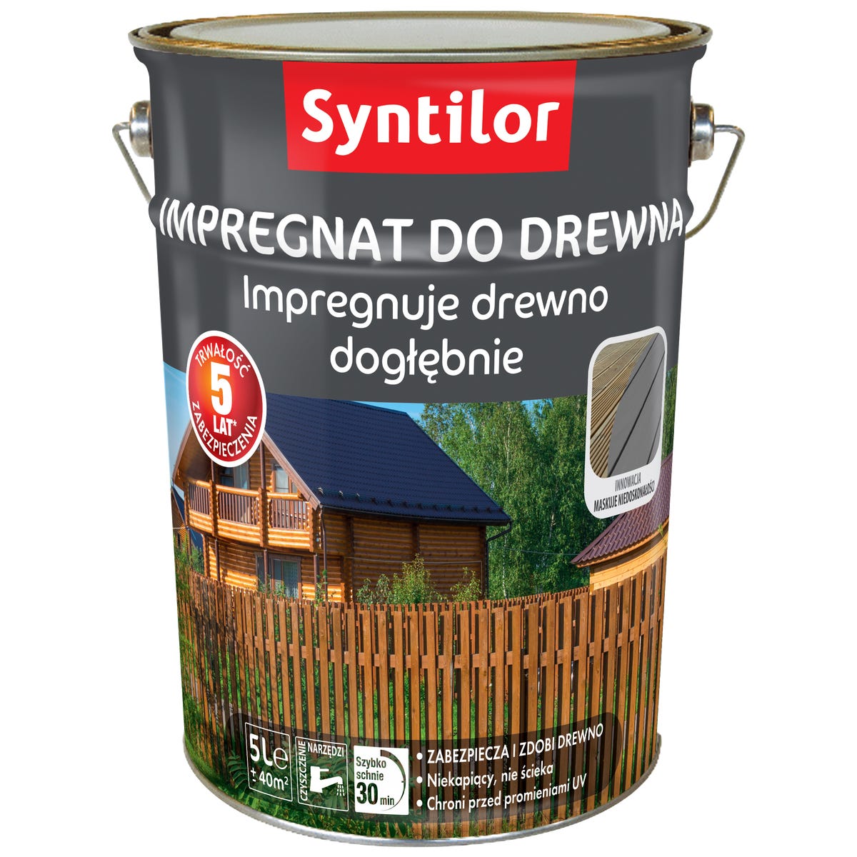 Impregnat do drewna 5 l Sosna SYNTILOR