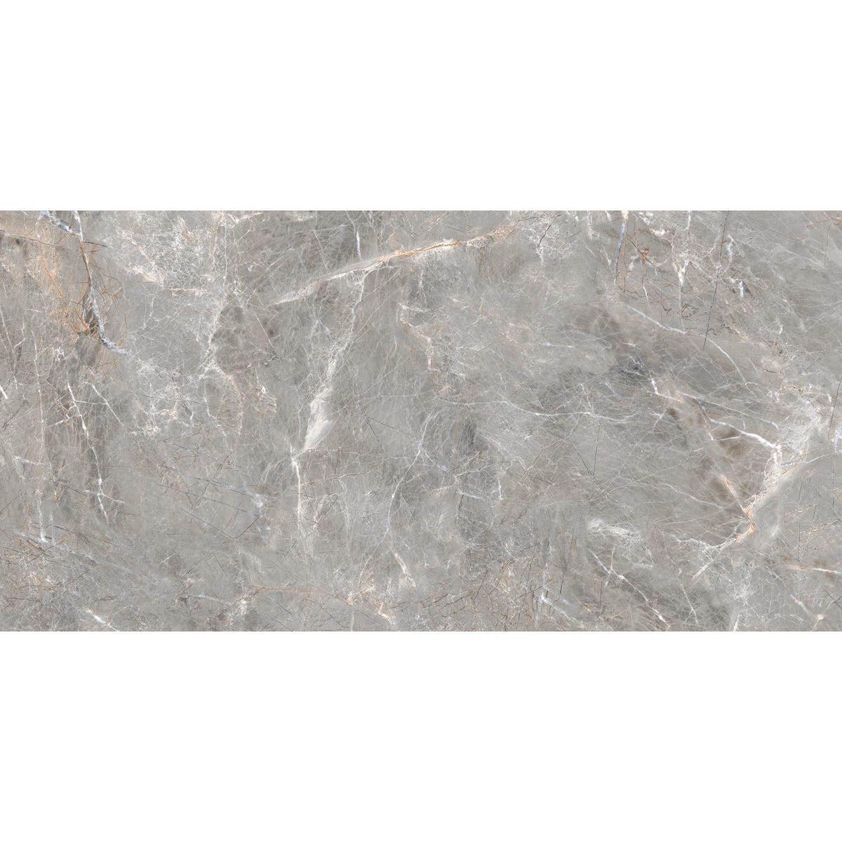 Gres szkliwiony Olimpia Grey Poler 60x120