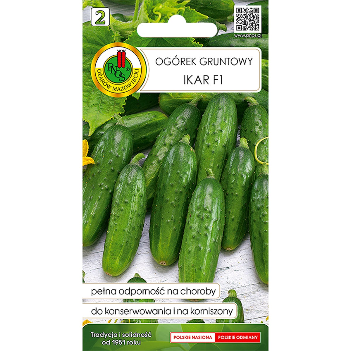 Ogórek gruntowy Ikar F1 nasiona Pnos
