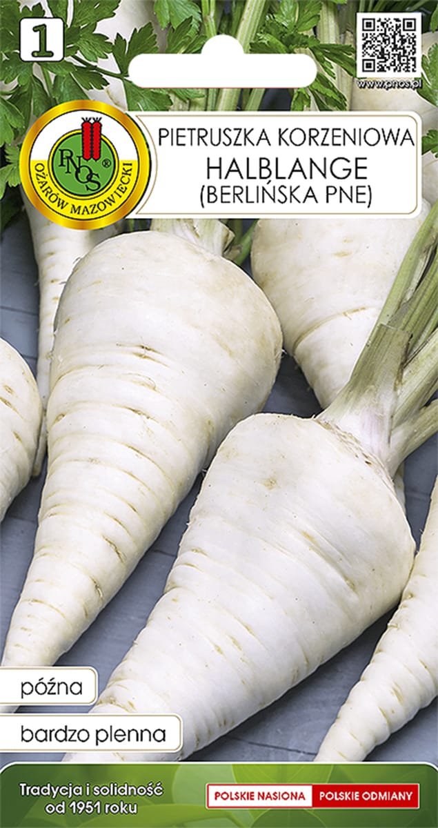 Pietruszka korzeniowa Halblange berlińska nasiona Pnos