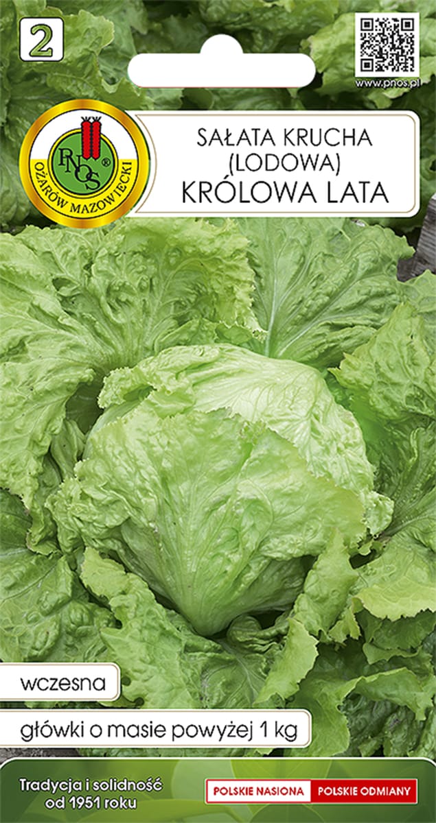 Sałata lodowa krucha Królowa Lata nasiona Pnos