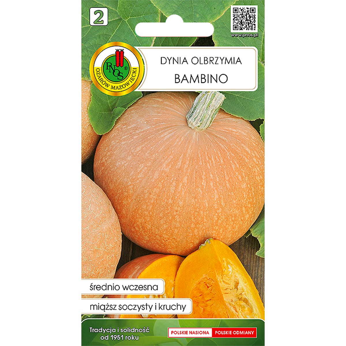 Dynia olbrzymia Bambino nasiona Pnos