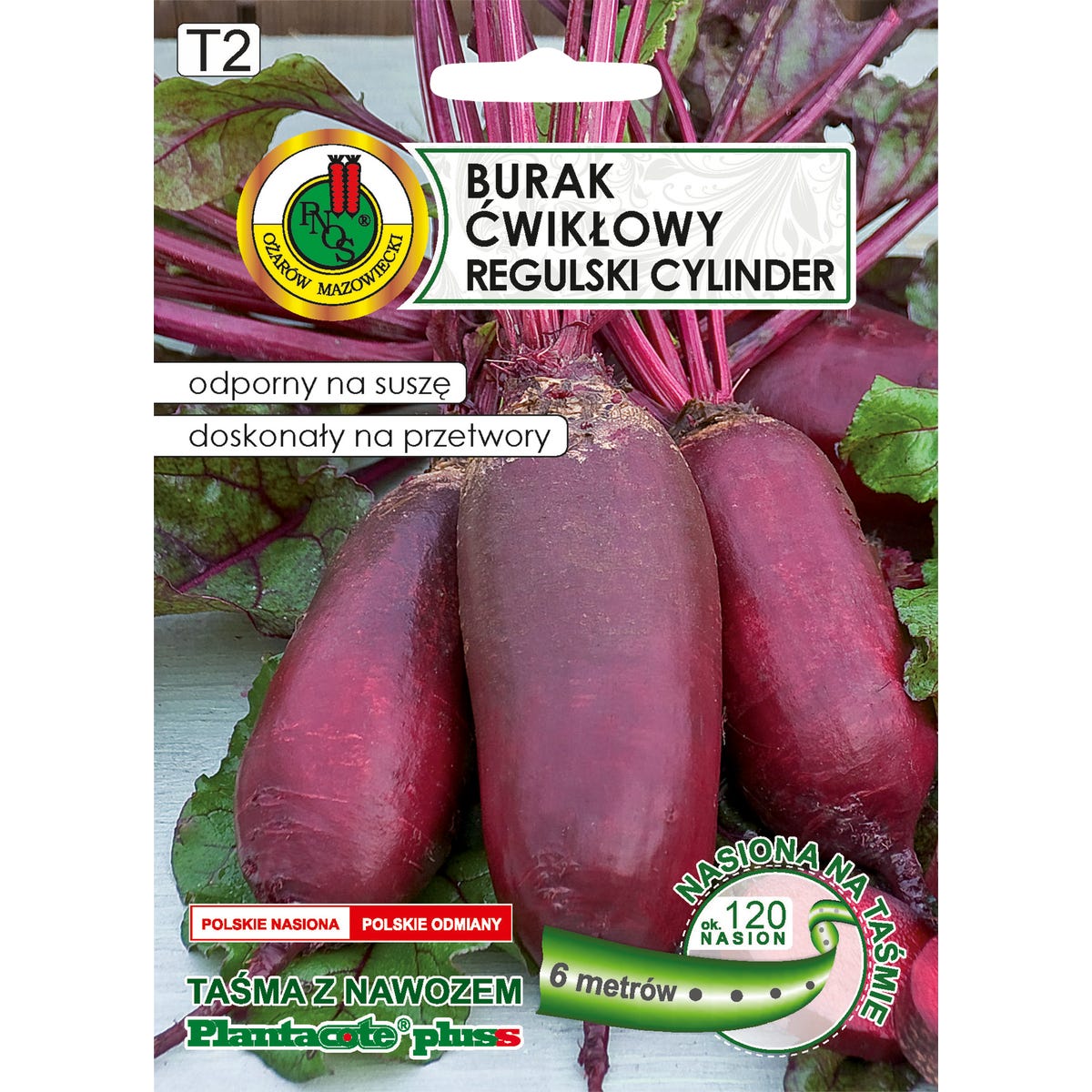 Burak ćwikłowy Regulski Cylinder nasiona Pnos