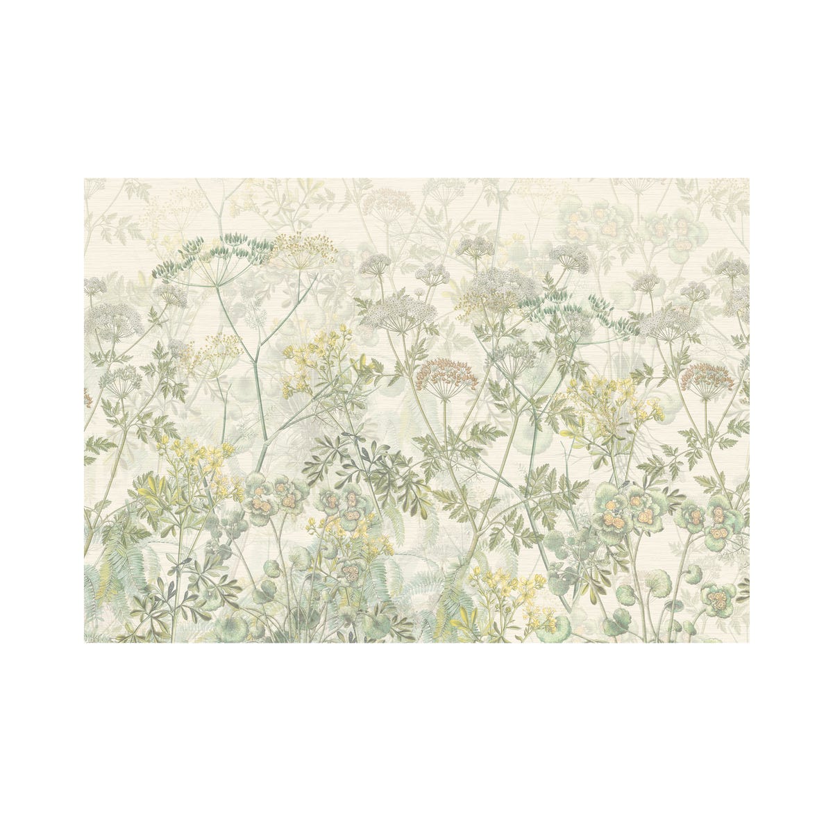 Mural Green Herbs zioła zielone 400 x 280 cm delikatna struktura