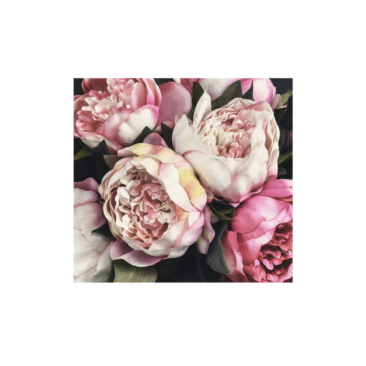 Mural Peony kwiaty peoni 300 x 280 cm delikatna struktura