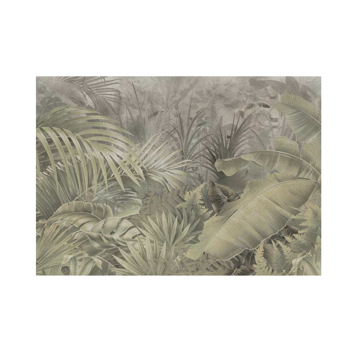 Mural Amazonia zielone liście 400 x 280 cm delikatna struktura