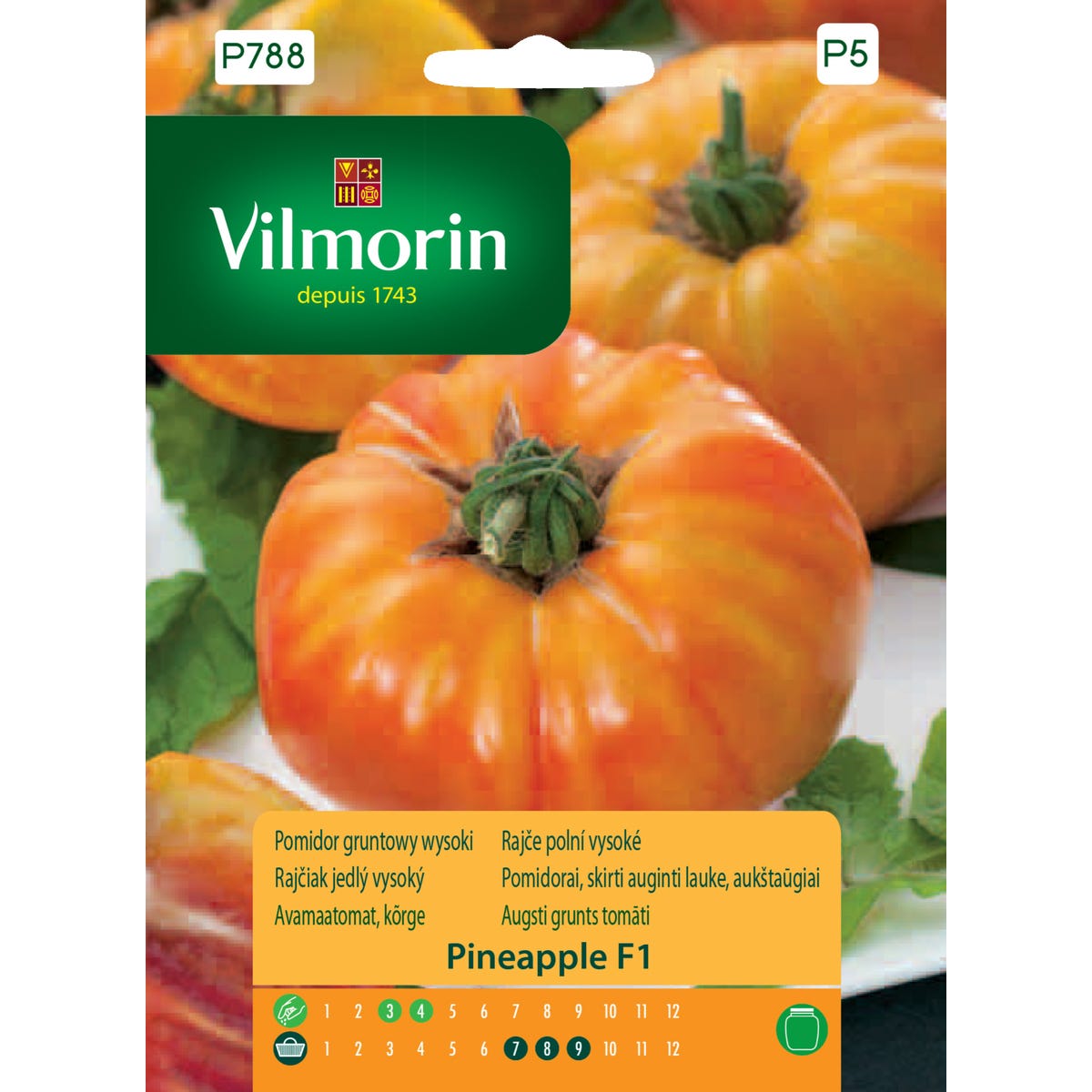 Pomidor gruntowy wysoki Pineapple F1 nasiona Vilmorin