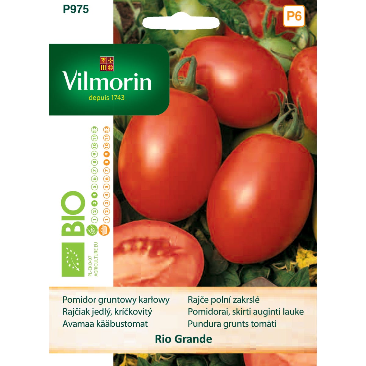 Pomidor gruntowy wysoki Bio Rio Grande nasiona Vilmorin