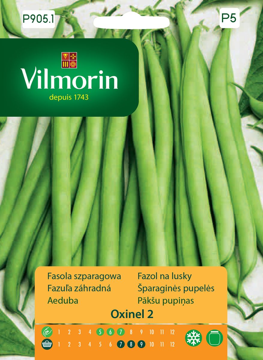 Fasola szparagowa zielona Oxinel 2 nasiona Vilmorin