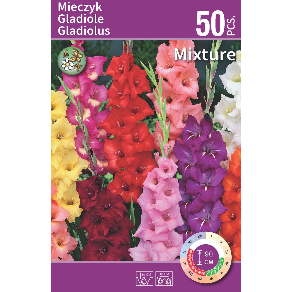 Mieczyk mix 50 szt. cebulki kwiatów