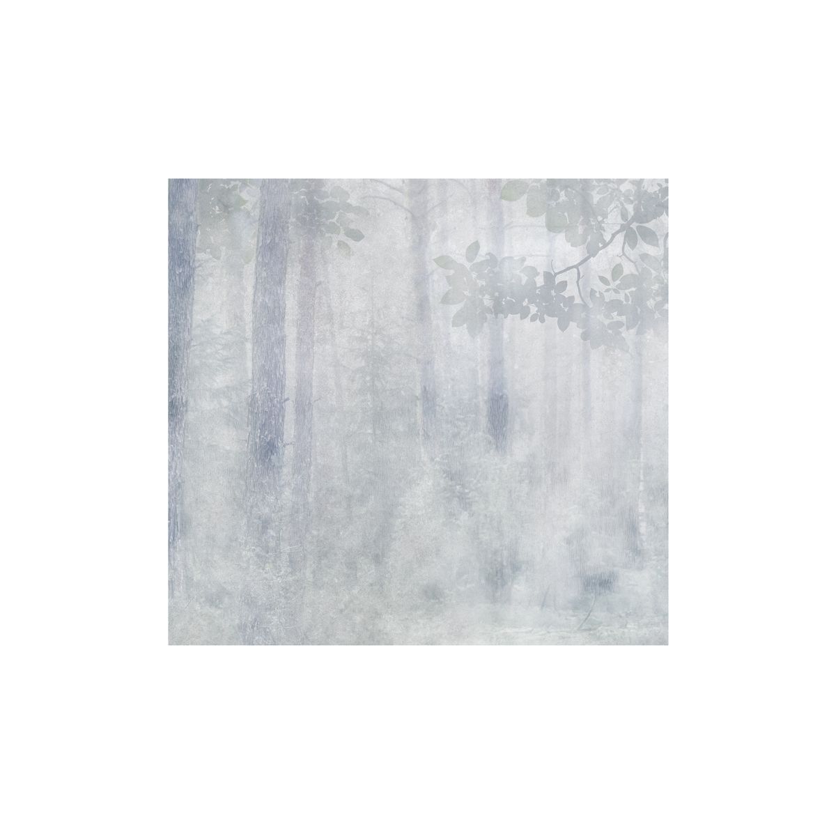 Mural Misty Las 300 x 280 cm delikatna struktura