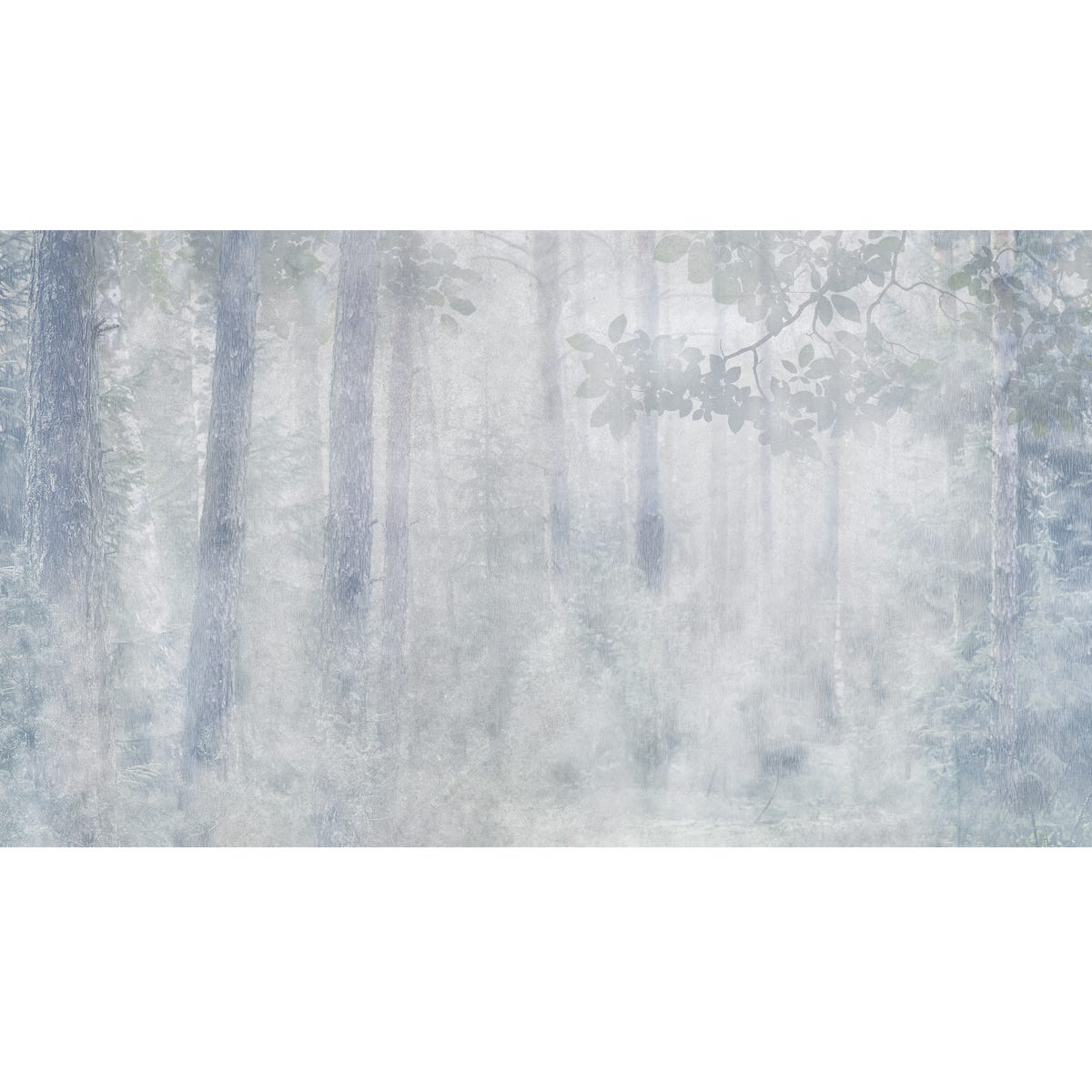 Mural Misty Las 500 x 280 cm struktura płótna