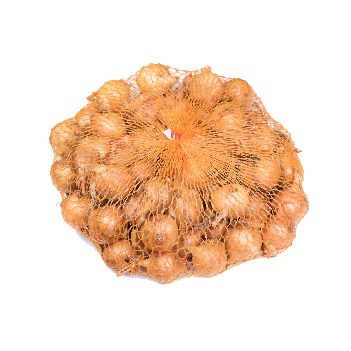 Cebula dymka Sturon 20/27 250g Geolia