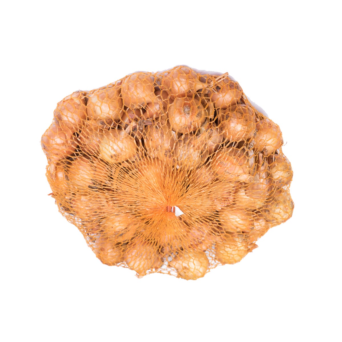 Cebula dymka Sturon 20/27 500g Geolia