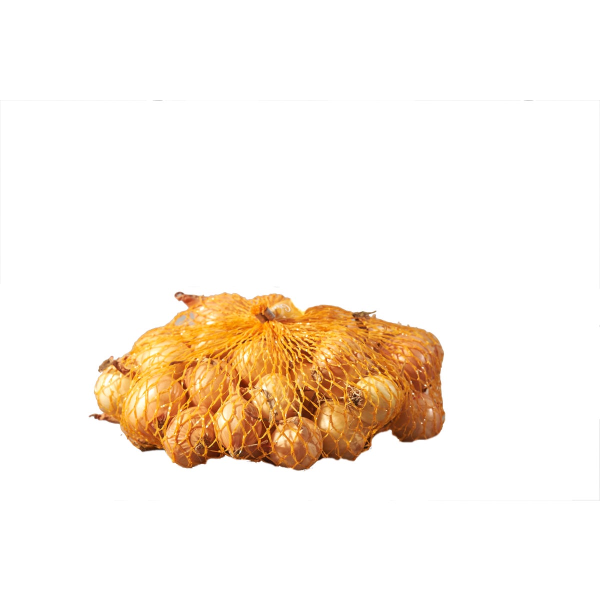 Cebula dymka Stutgart Riesen 250g Geolia