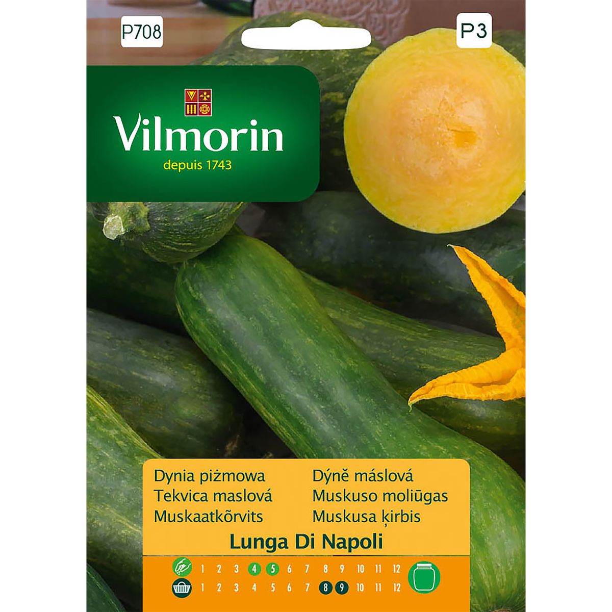 Dynia Pizmowa Lunga Di Napoli 2 g Vilmorin