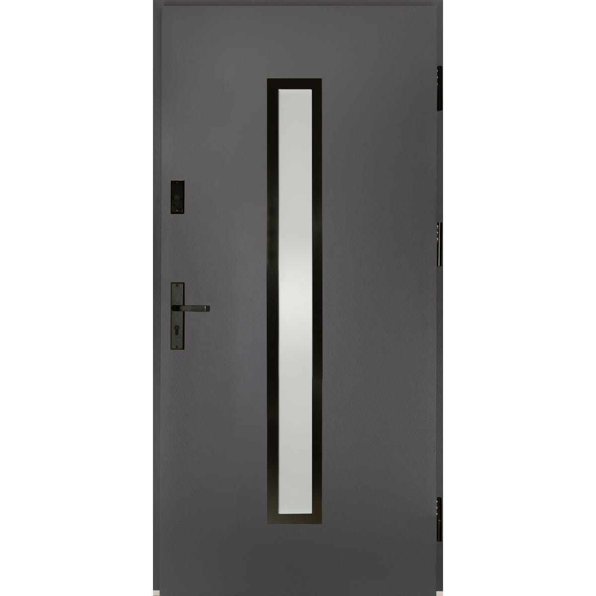 Drzwi zewnętrzne stalowe wejściowe Auria Passive antracytowe 90 prawe Splendoor