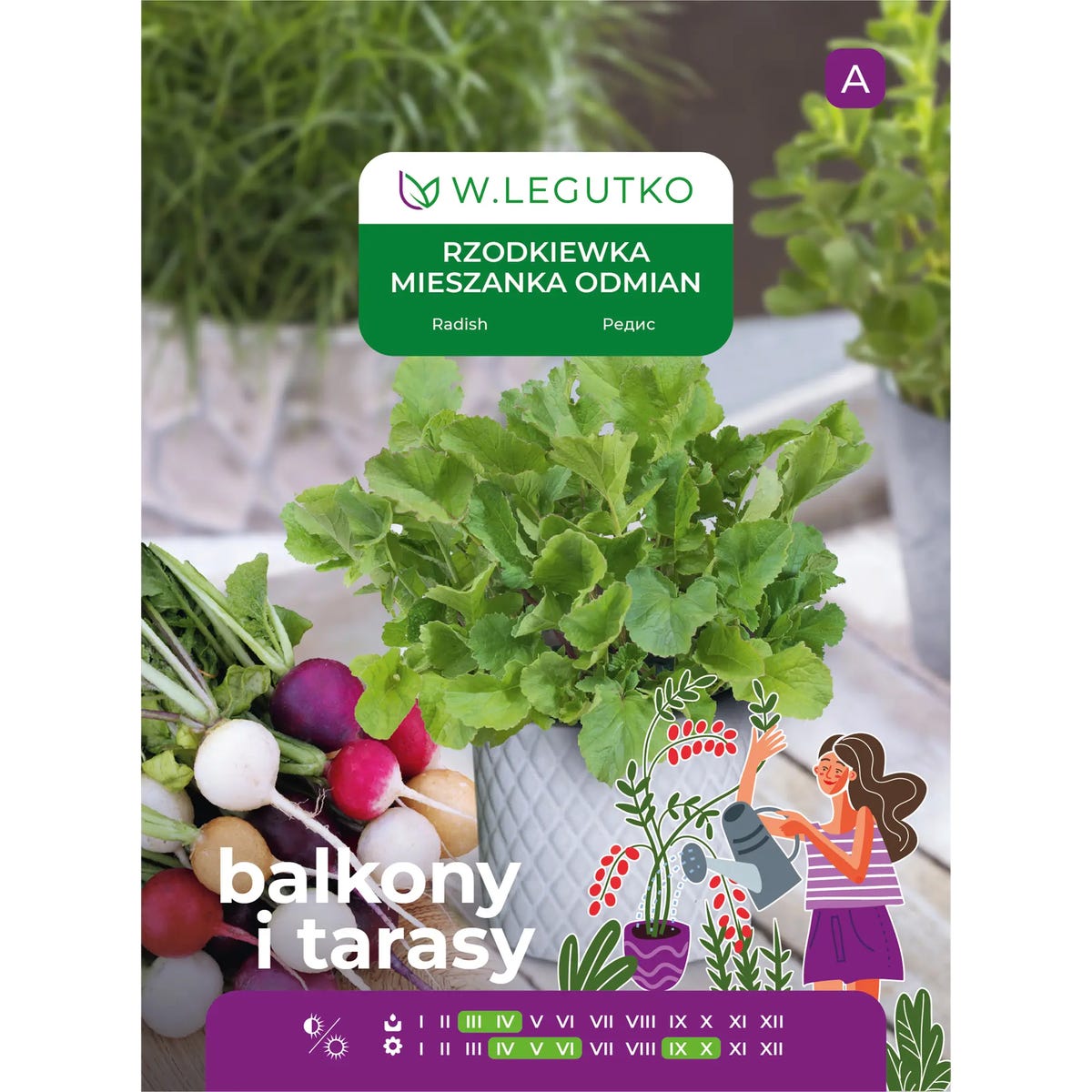 Rzodkiewka kulista mieszanka nasiona 10g W. Legutko