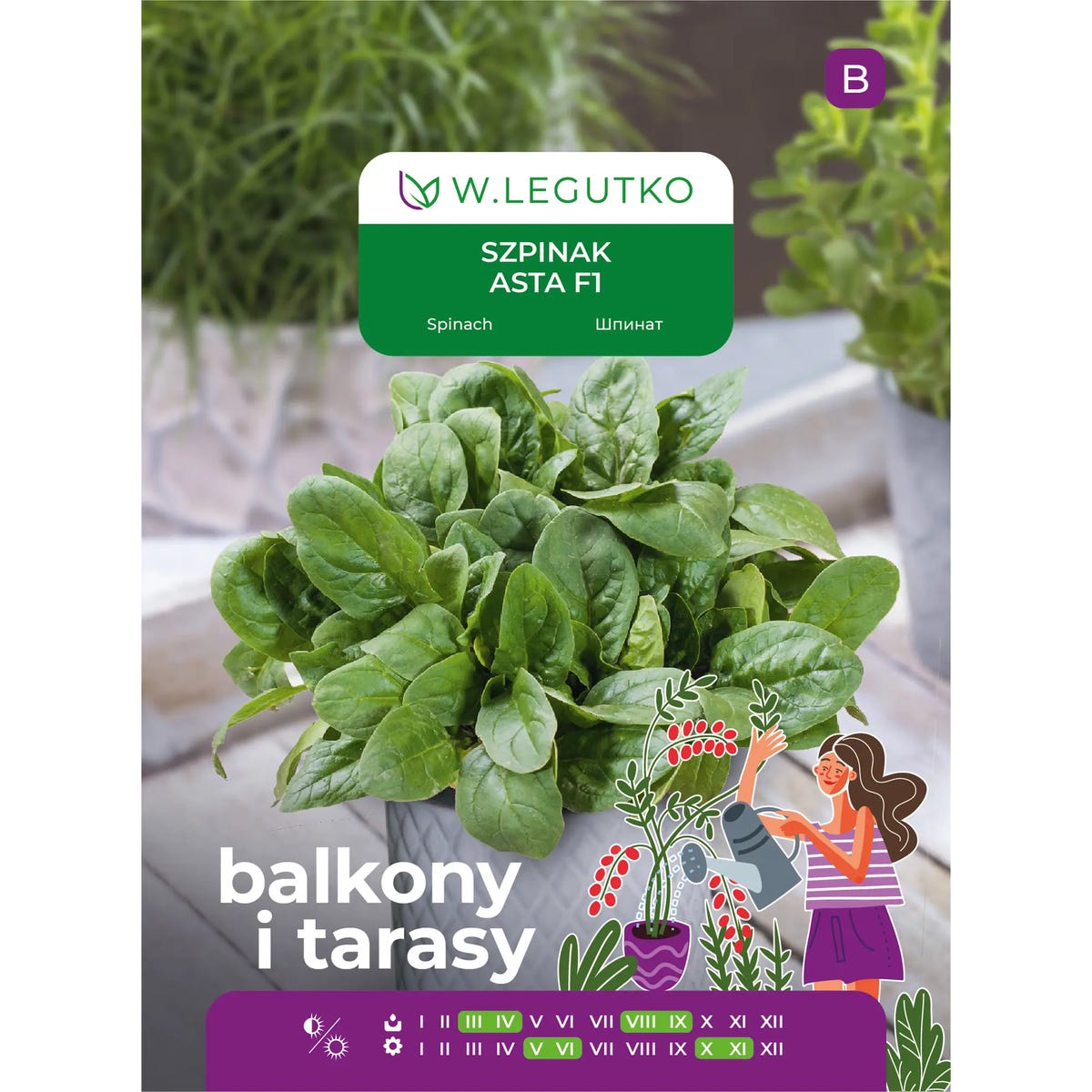 Szpinak Asta F1 nasiona 10g W. Legutko
