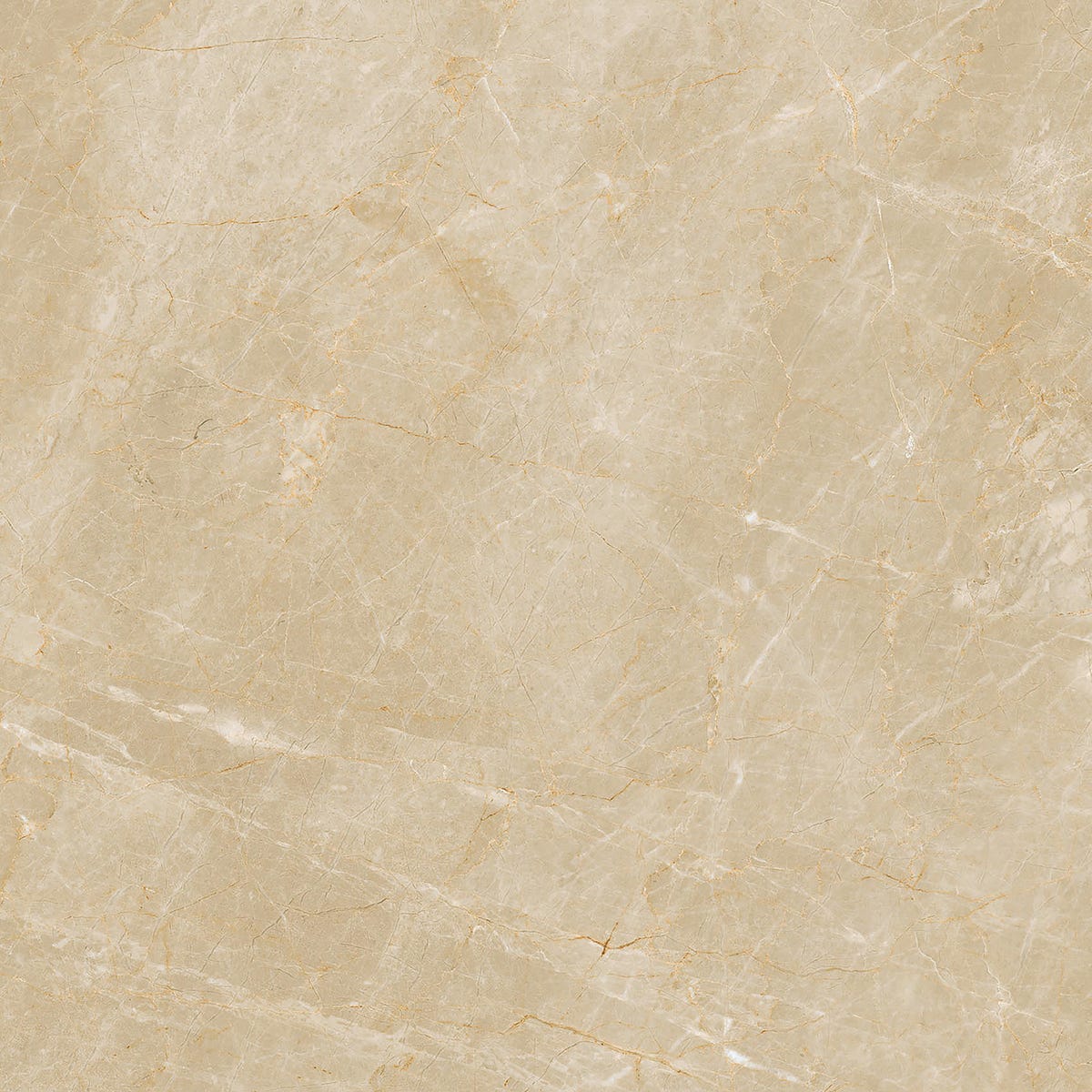 Gres szkliwiony Wiler Poler 60x60 Ceramika Paradyż