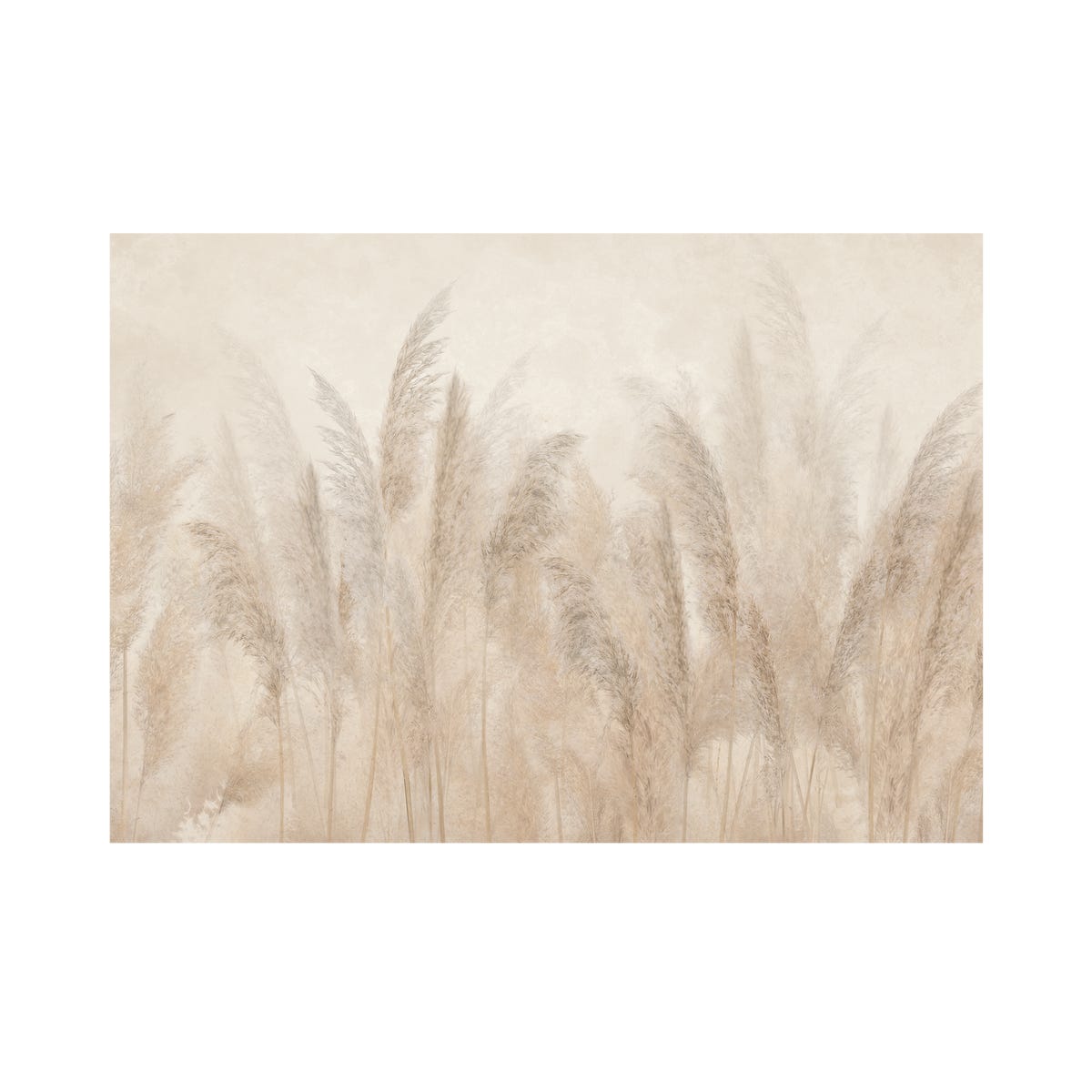 Mural Pampas 400 x 280 cm delikatna struktura
