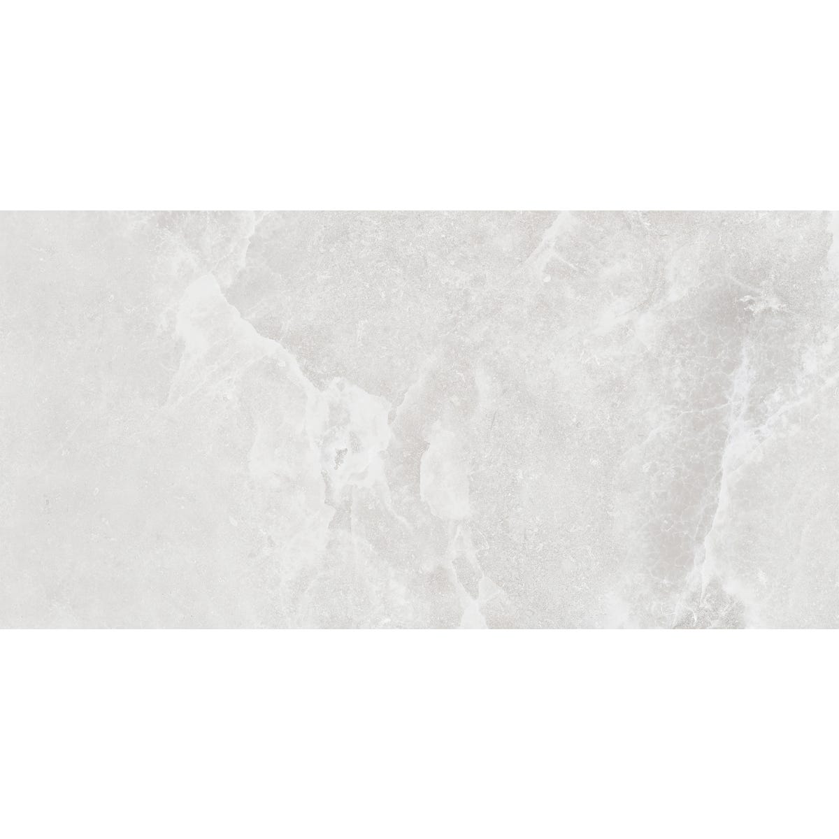 Gres szkliwiony Fino Grey 59.8x119.8 cm Arte