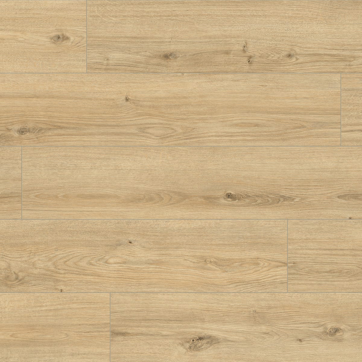 Artens Panele laminowane wodoodporne AC5 8 mm Dąb Ravelli