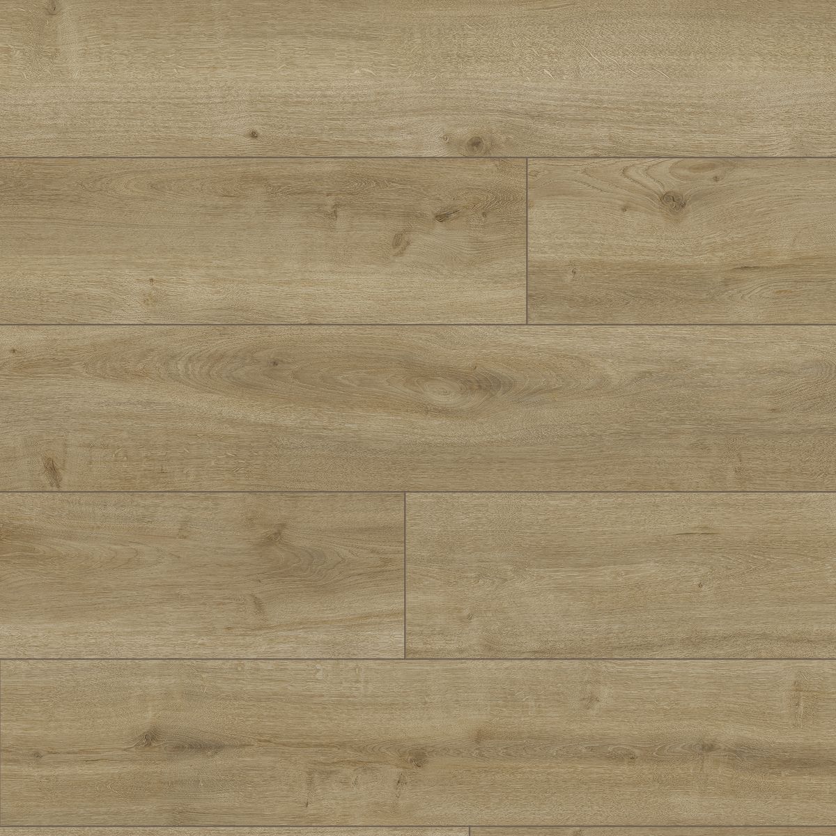 Artens Panele laminowane wodoodporne AC5 8 mm Dąb Andy
