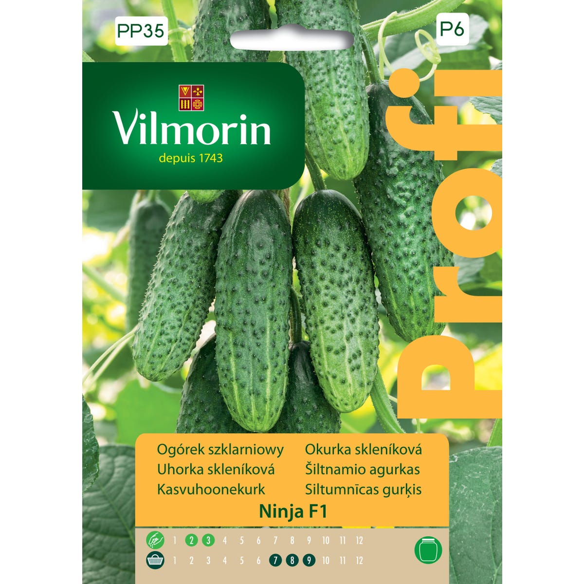 Ogórek partenokarpiczny szklarniowy Ninja nasiona 12szt. Vilmorin