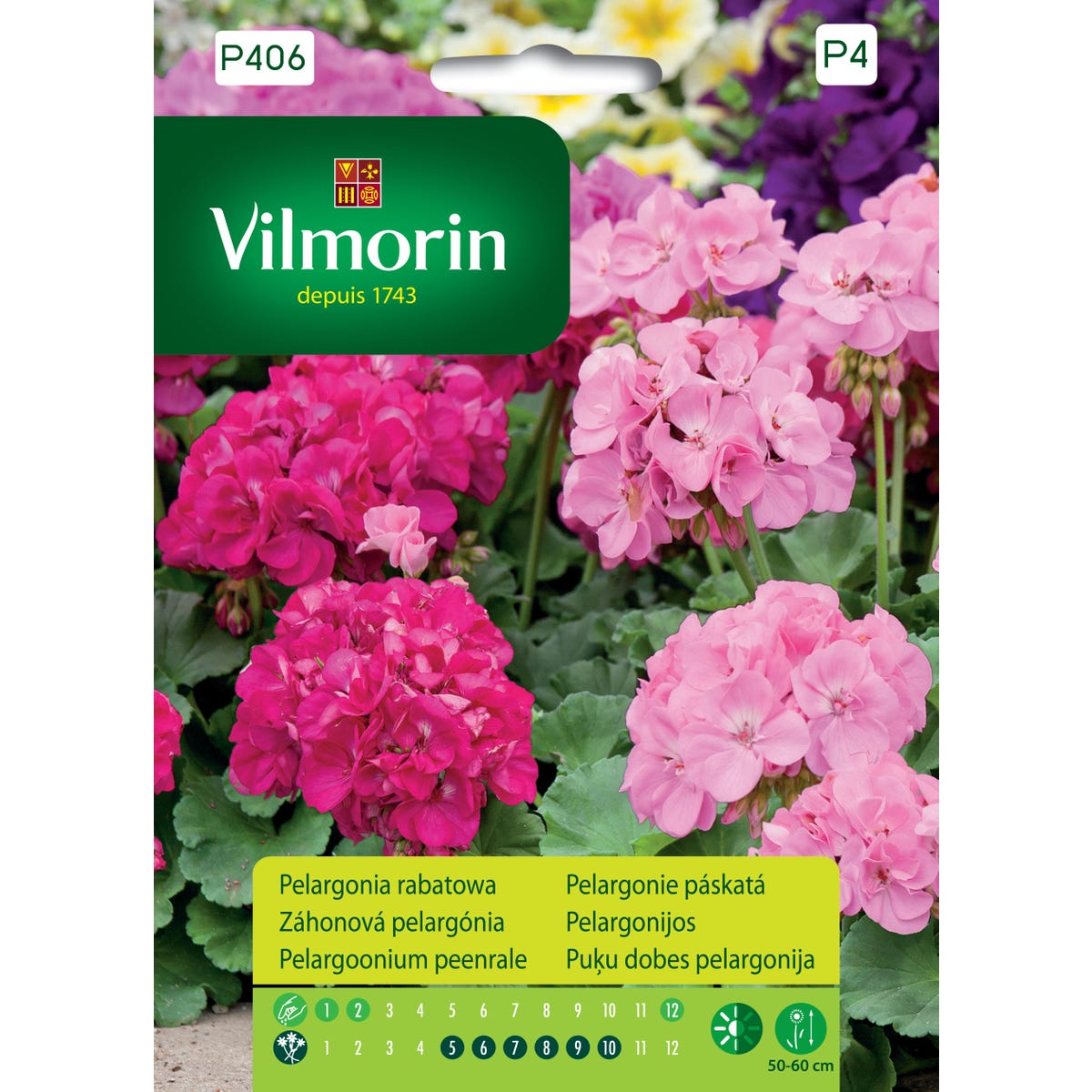 Pelargonia rabatowa różowa nasiona Vilmorin