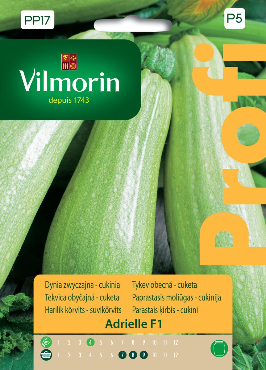 Dynia zwyczajna Cukinia Adrielle 1.5 g nasiona Vilmorin