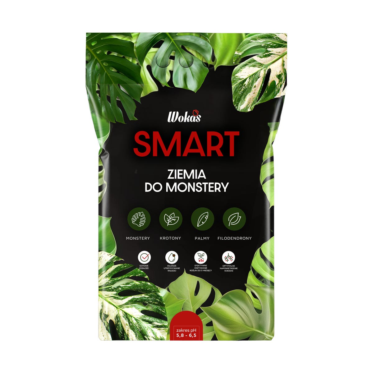 Wokas Ziemia do monstery SMART 5l BIO