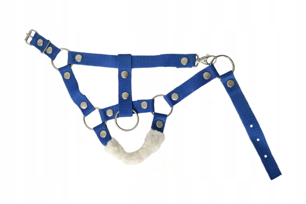 KANTAR DLA HOBBY HORSE A4, NIEBIESKI ZE SREBRNYMI NAPAMI I FUTERKIEM