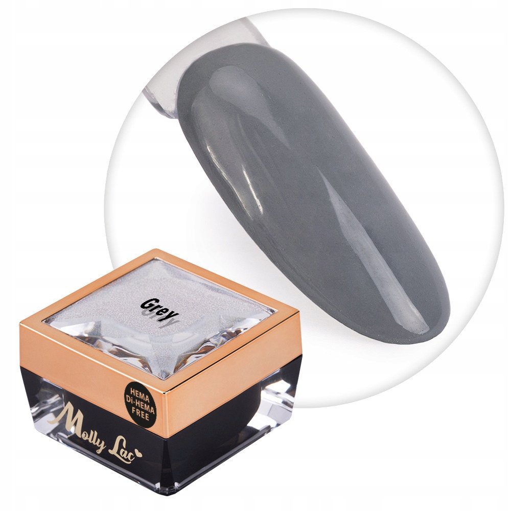 Żel do zdobień paznokci OMBRE PAINT GEL ornamenty MollyLac GREY #10