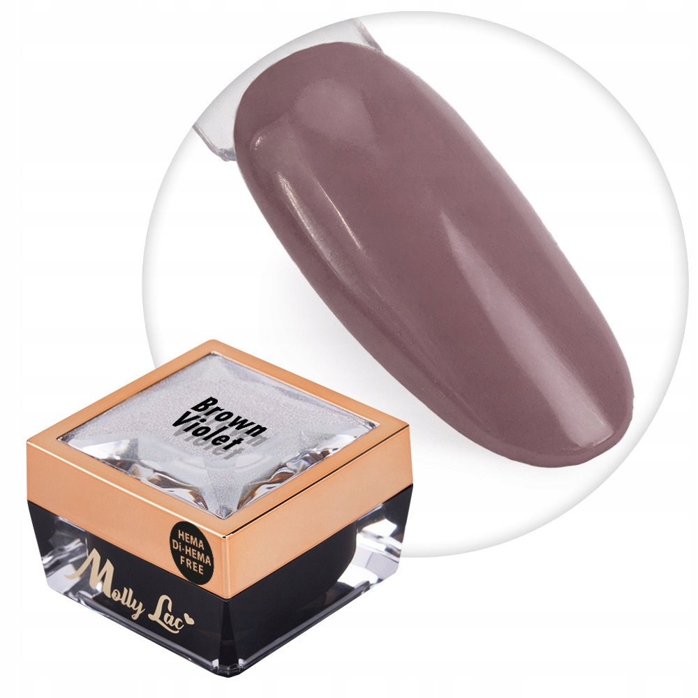 Żel do zdobień paznokci OMBRE PAINT GEL ornamenty MollyLac BROWN VIOLET #20