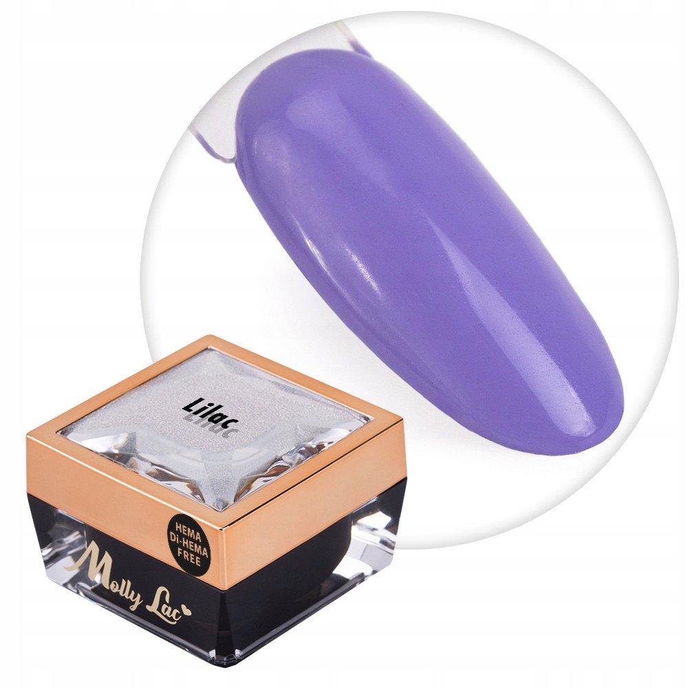 Żel do zdobień paznokci OMBRE PAINT GEL ornamenty MollyLac LILAC #17