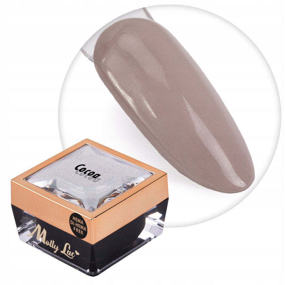 Żel do zdobień paznokci OMBRE PAINT GEL ornamenty MollyLac COCOA #21