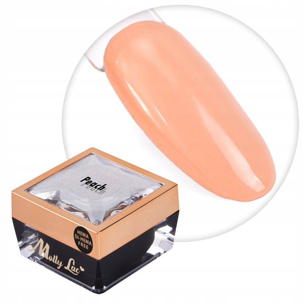 Żel do zdobień paznokci OMBRE PAINT GEL ornamenty MollyLac PEACH #15