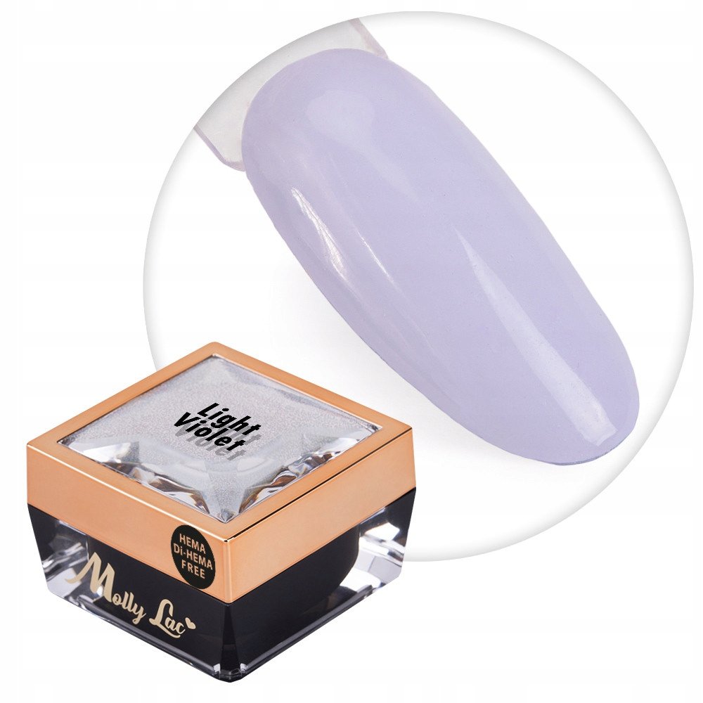 Żel do zdobień paznokci OMBRE PAINT GEL ornamenty MollyLac Light Violet #18