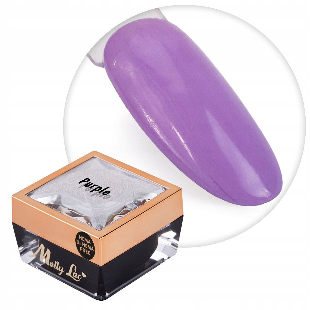 Żel do zdobień paznokci OMBRE PAINT GEL ornamenty MollyLac PURPLE #19
