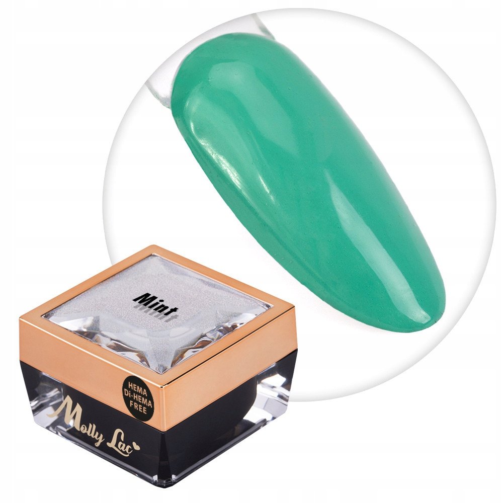 Żel do zdobień paznokci OMBRE PAINT GEL ornamenty MollyLac MINT #13