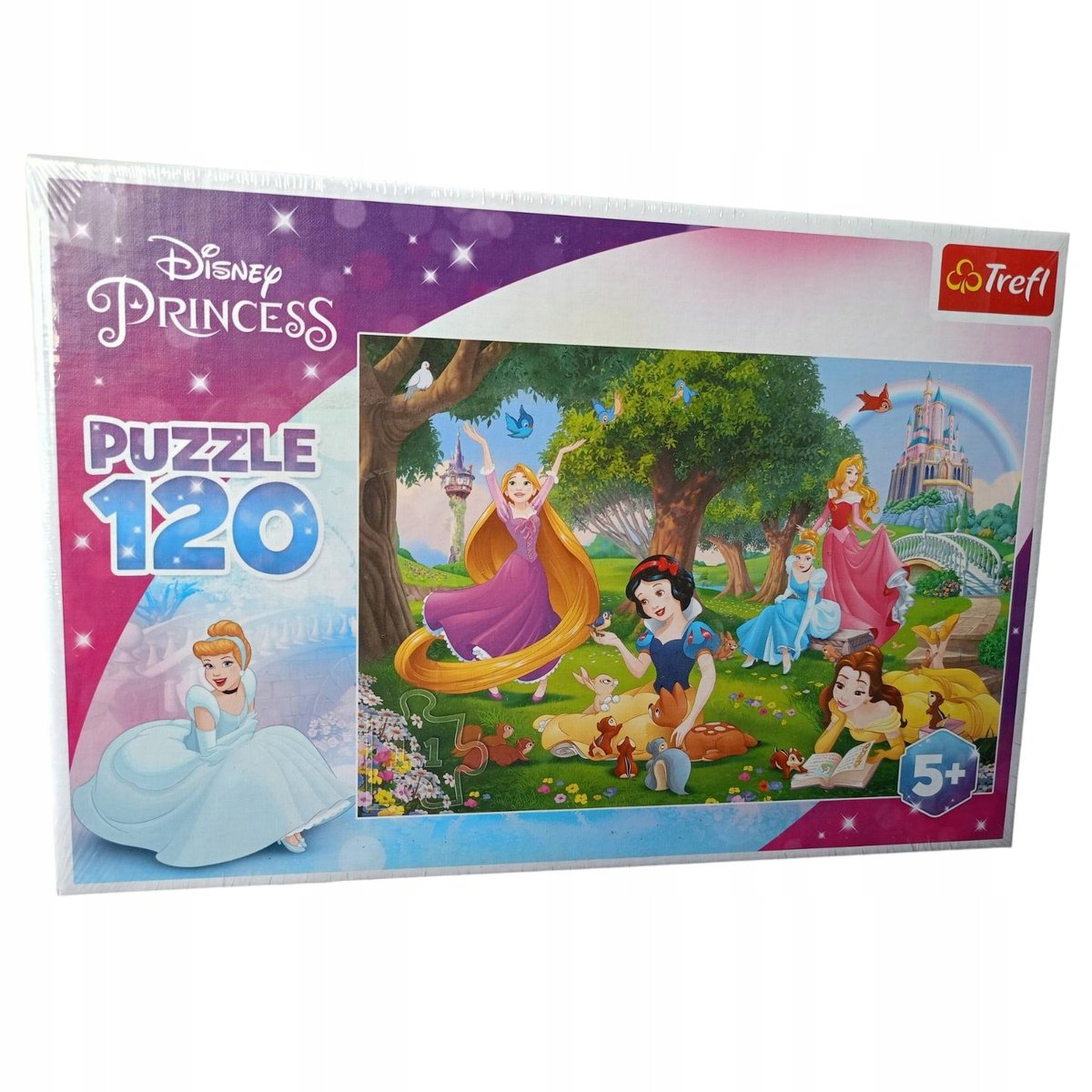 Puzzle Księżniczki spędzają czas na polanie 120 elementów