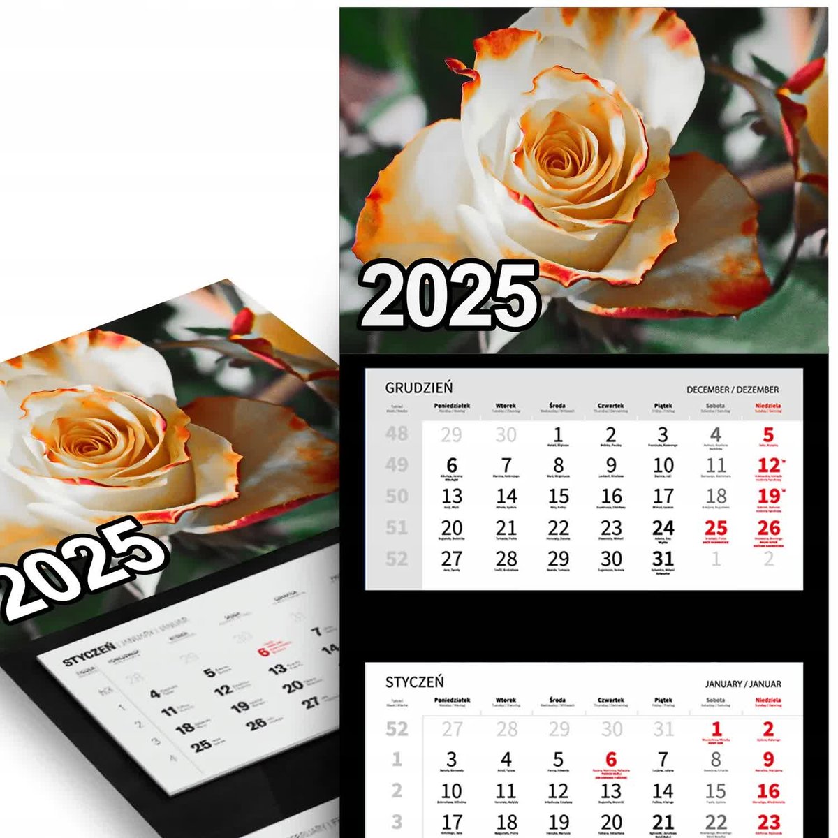 KALENDARZ TRÓJDZIELNY ŚCIENNY 2025 ROK Miesięczny - Róża Herbaciana Wzory