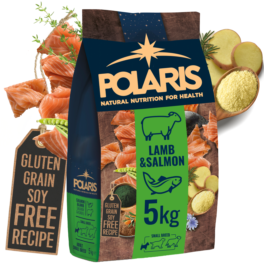 Bezzbożowa karma sucha z łososiem i jagnięciną dla dorosłych psów małych ras Polaris 5 kg