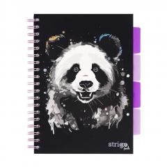 Kołozeszyt Pads B5100k kratka Panda