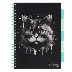 Kołozeszyt Pads A4100k linia Kot