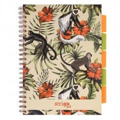 Kołozeszyt Pads A4100k kratka Tropiki Małpki