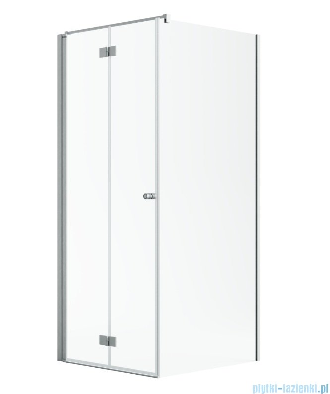 Radaway Nes Kdj B Brushed Nickel kabina 100x70cm lewa szczotkowany nikiel 10025100-91-01L/10039070-01-01